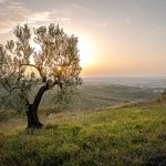 Agriturismo a Spello, storia, cultura e natura